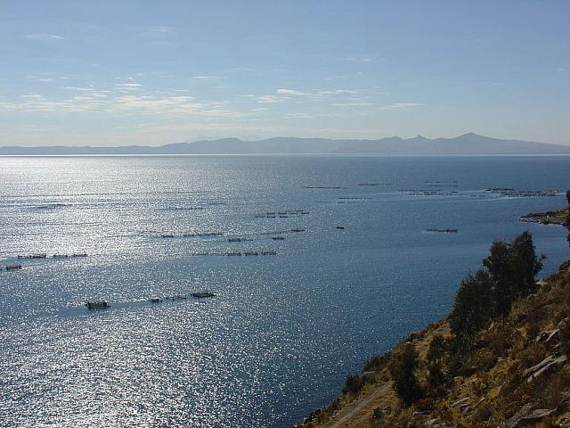 DSC01425