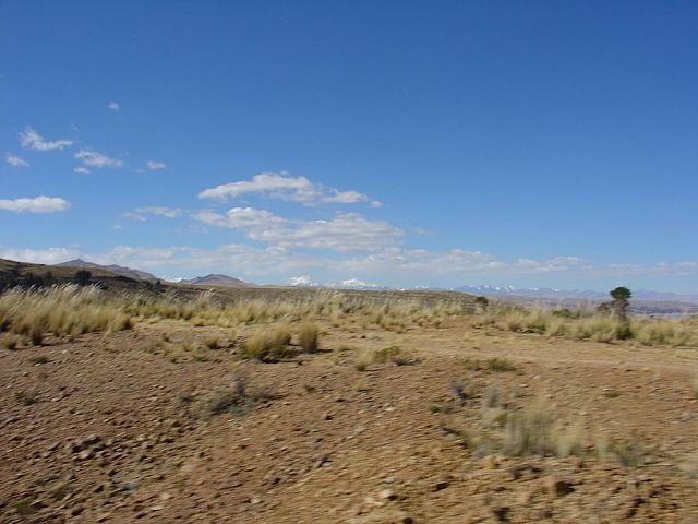 DSC01462