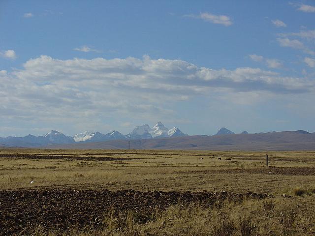 DSC01466