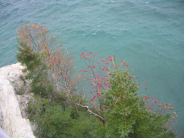 IMG 4364 pretty berries on castle rock