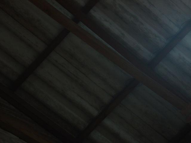 DSC01641