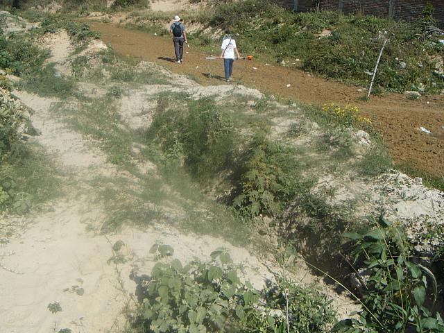 Andrea 07 28 2008 092