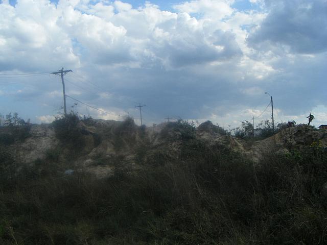 Andrea 07 28 2008 097