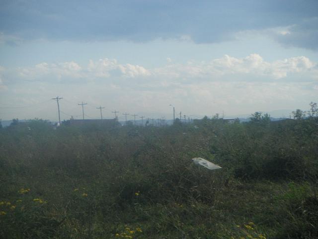 Andrea 07 28 2008 101