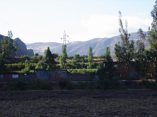 DSC01240