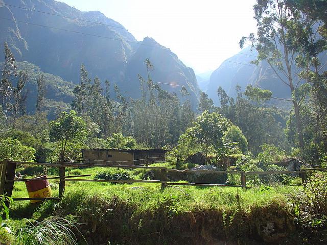 DSC01247
