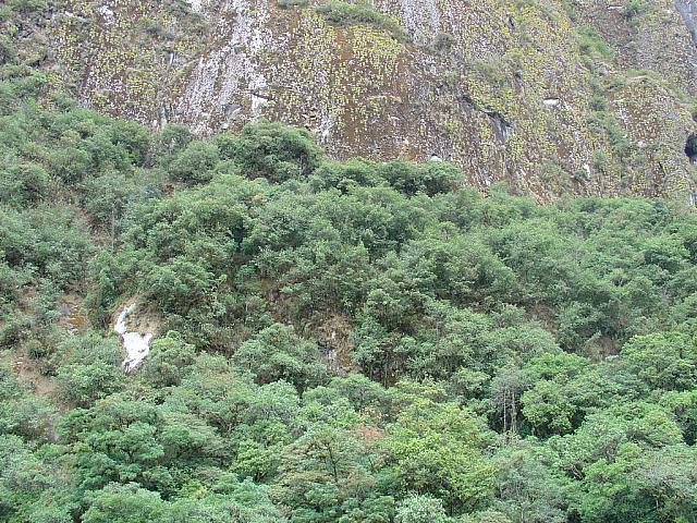 DSC01257