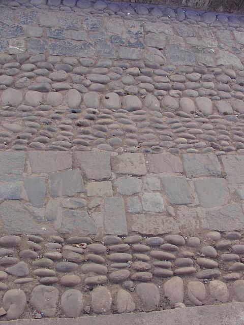 DSC01137