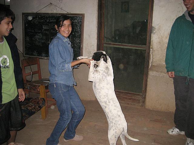 07-24-08 004 The dog joined in