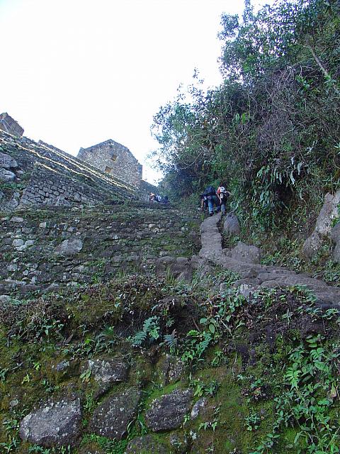 DSC01270 almost to the top of Wayna Picchu