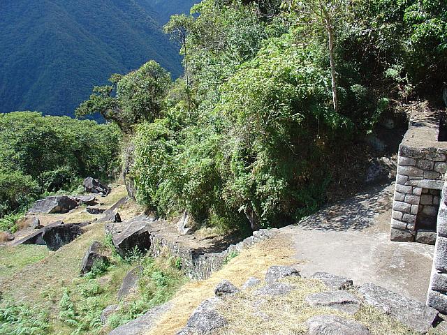 DSC01324