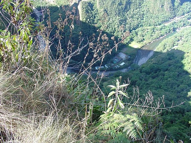 DSC01336