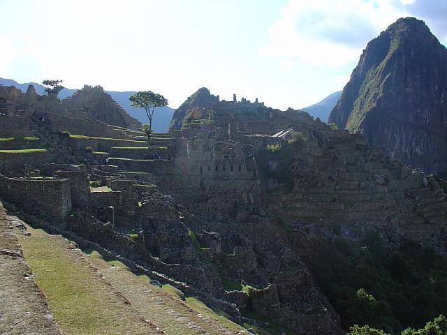 DSC01353
