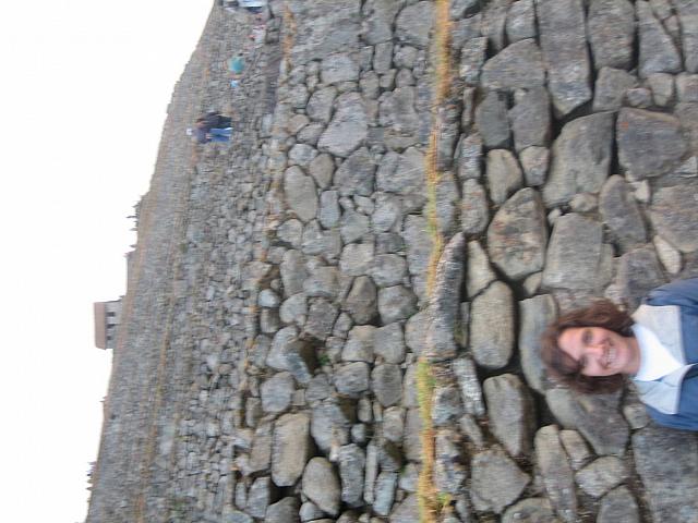 Machu Picchu 005 terracing