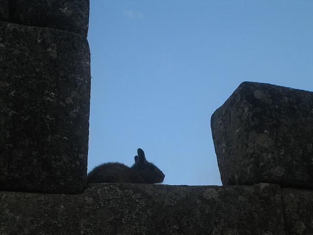 Machu Picchu 062