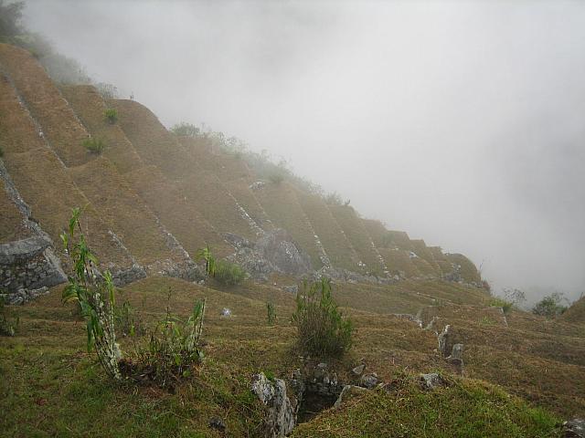 Machu Picchu 069