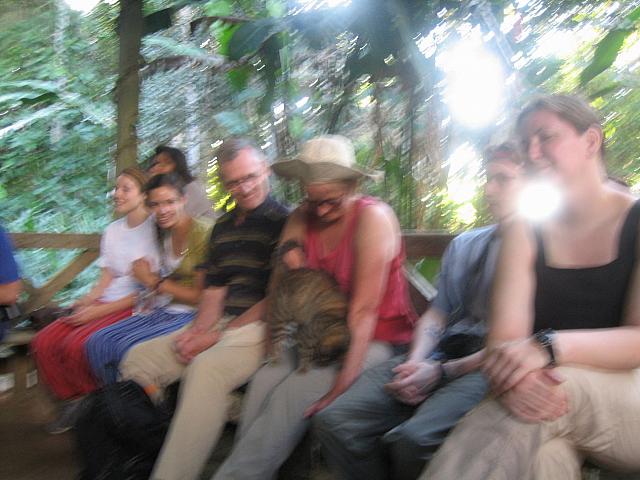 Posada Amazonas 148 really friendly cat