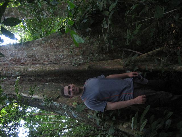 Posada Amazonas 153