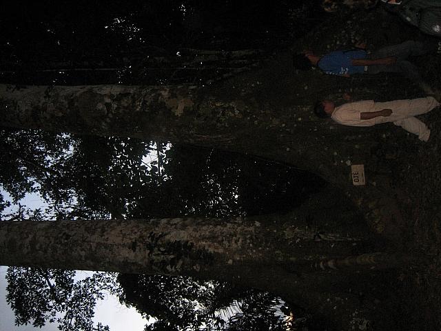 Posada Amazonas 168
