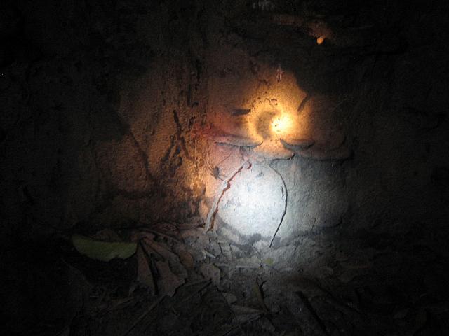Posada Amazonas 176