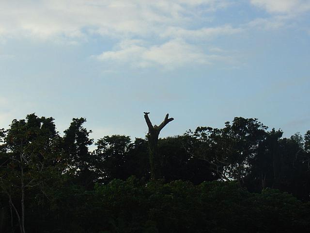 DSC01034