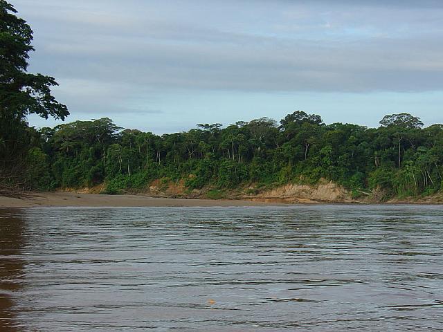 DSC01041