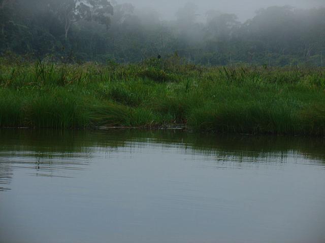 DSC01061