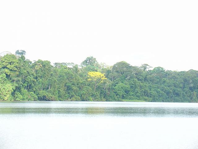 DSC01077
