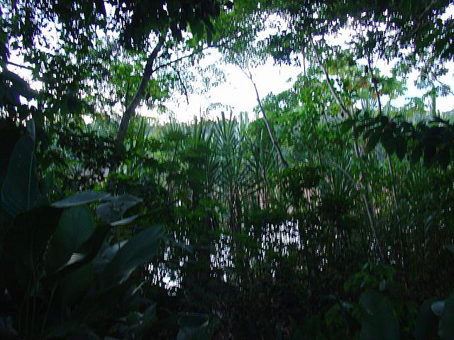 DSC01093