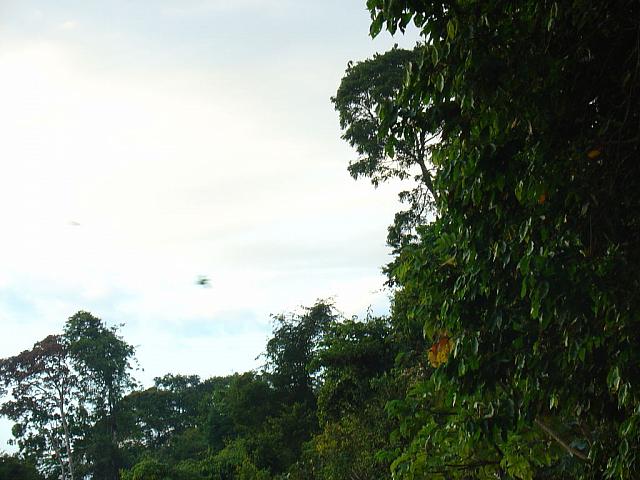 DSC01107