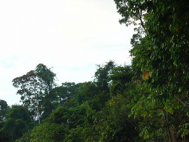 DSC01108