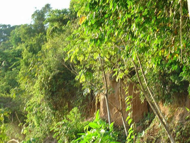 DSC01111