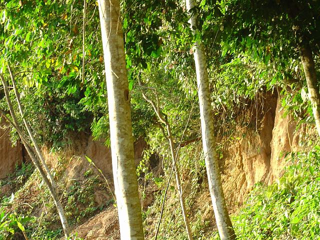 DSC01112