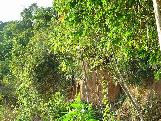 DSC01113