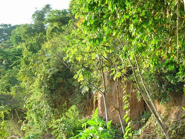 DSC01114