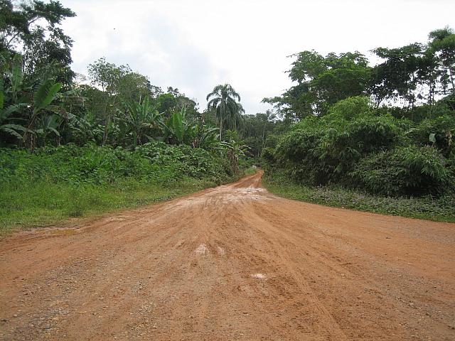 Posada Amazonas 015 highway