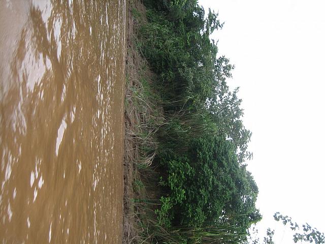 Posada Amazonas 030 travel along the river