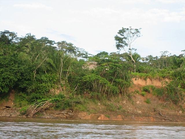 Posada Amazonas 034