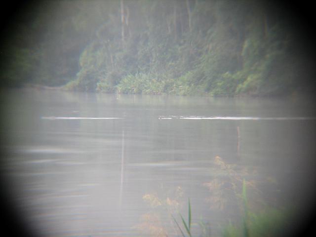 Posada Amazonas 056