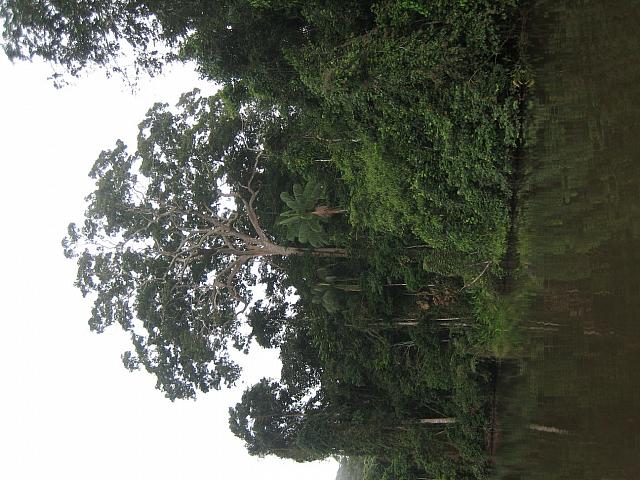 Posada Amazonas 070