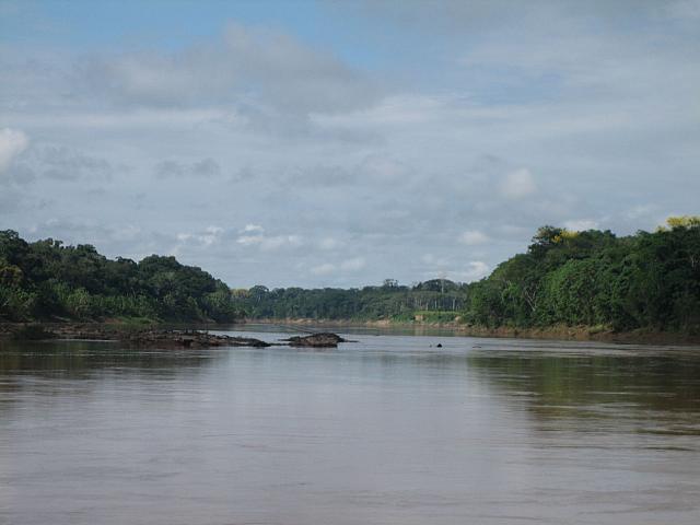Posada Amazonas 098