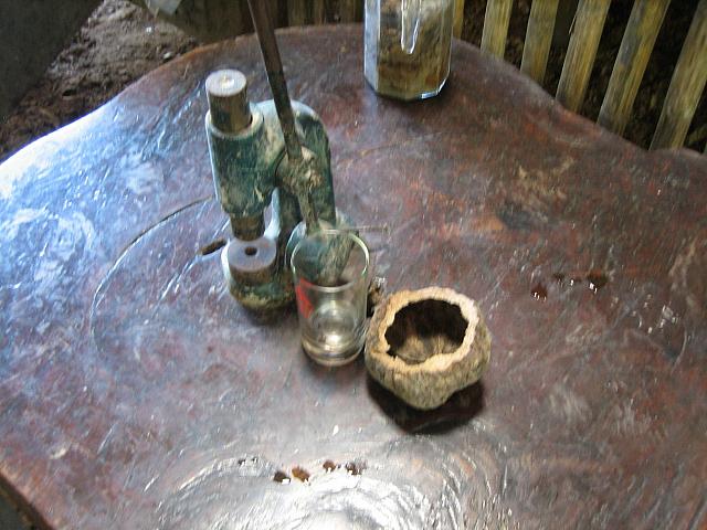 Posada Amazonas 100 Brazil nut shell and cracker