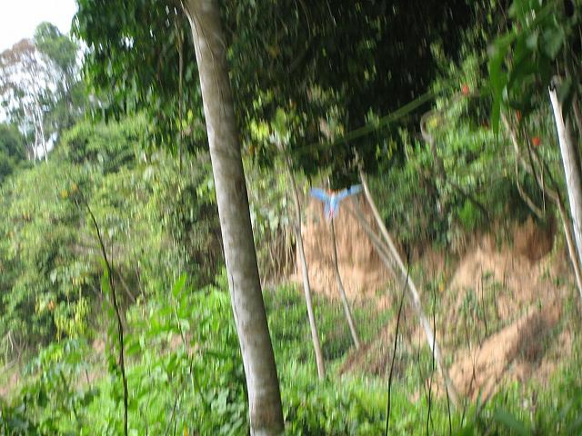 Posada Amazonas 106