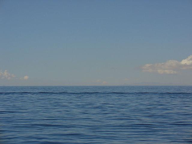 DSC01390