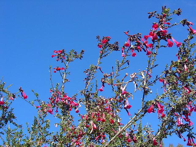DSC01413