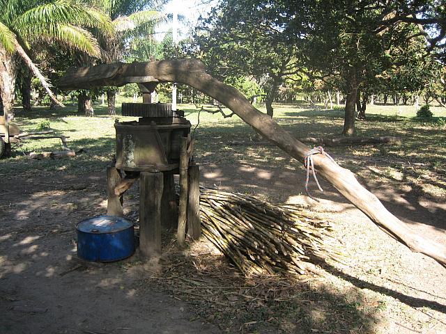 07-27-08 011 Sugar cane press