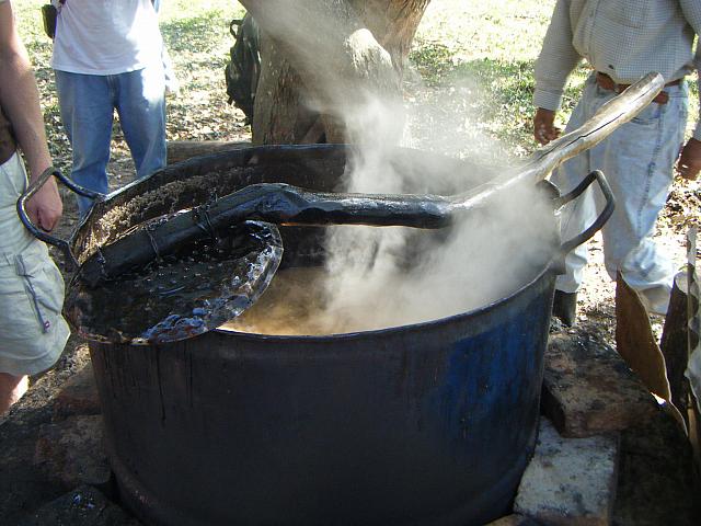 Andrea 07 27 2008 026