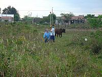 Surveying