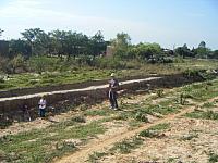 Andrea 07 28 2008 006