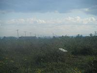 Andrea 07 28 2008 101